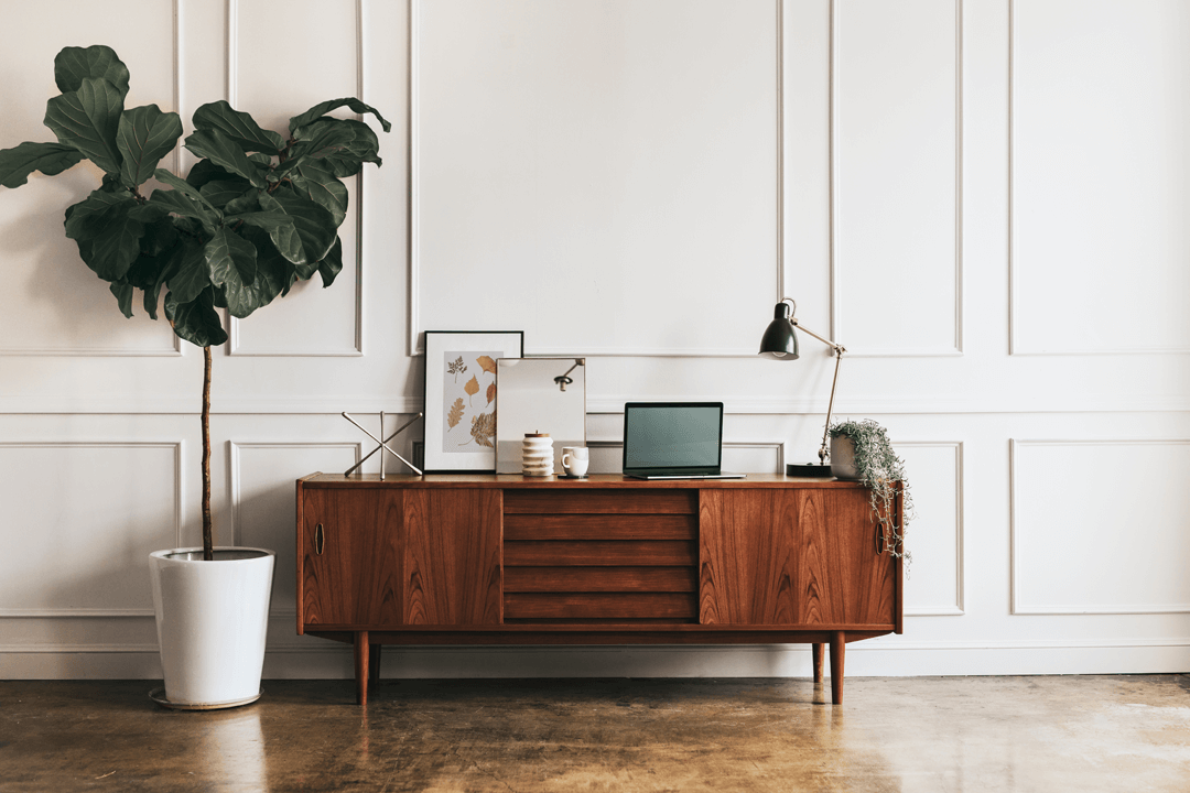 Big Ficus Lyrata White Walls Hard Wood Cabinet Jarrah Red Picture Frames Messily but Articulately Placed