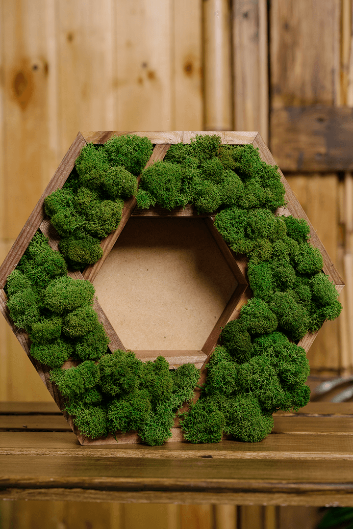 Moss Ring made of exceptional wood aesthetic