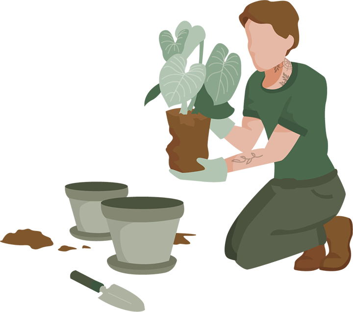 animated digging man planting plants in pot with t shirt and tattoos brown hair