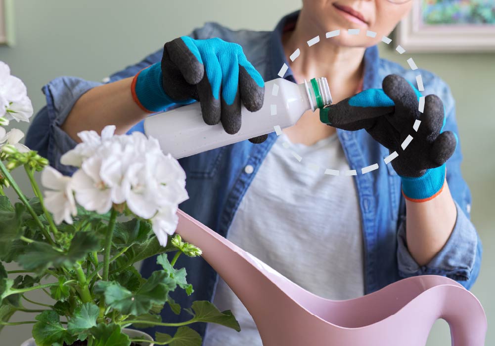 fertilising plants