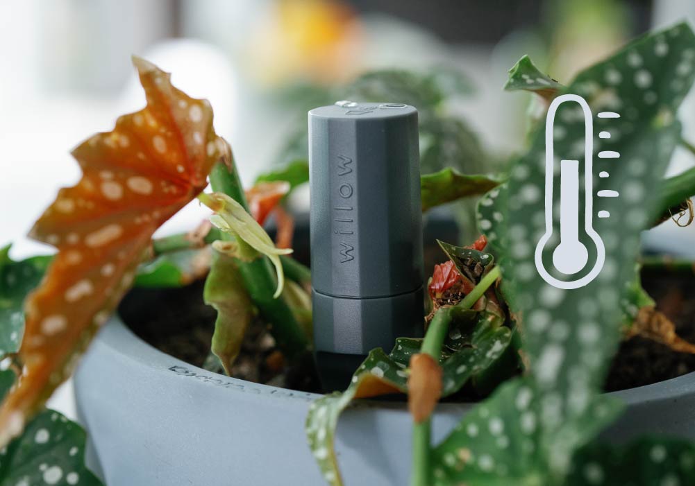 plant temperature