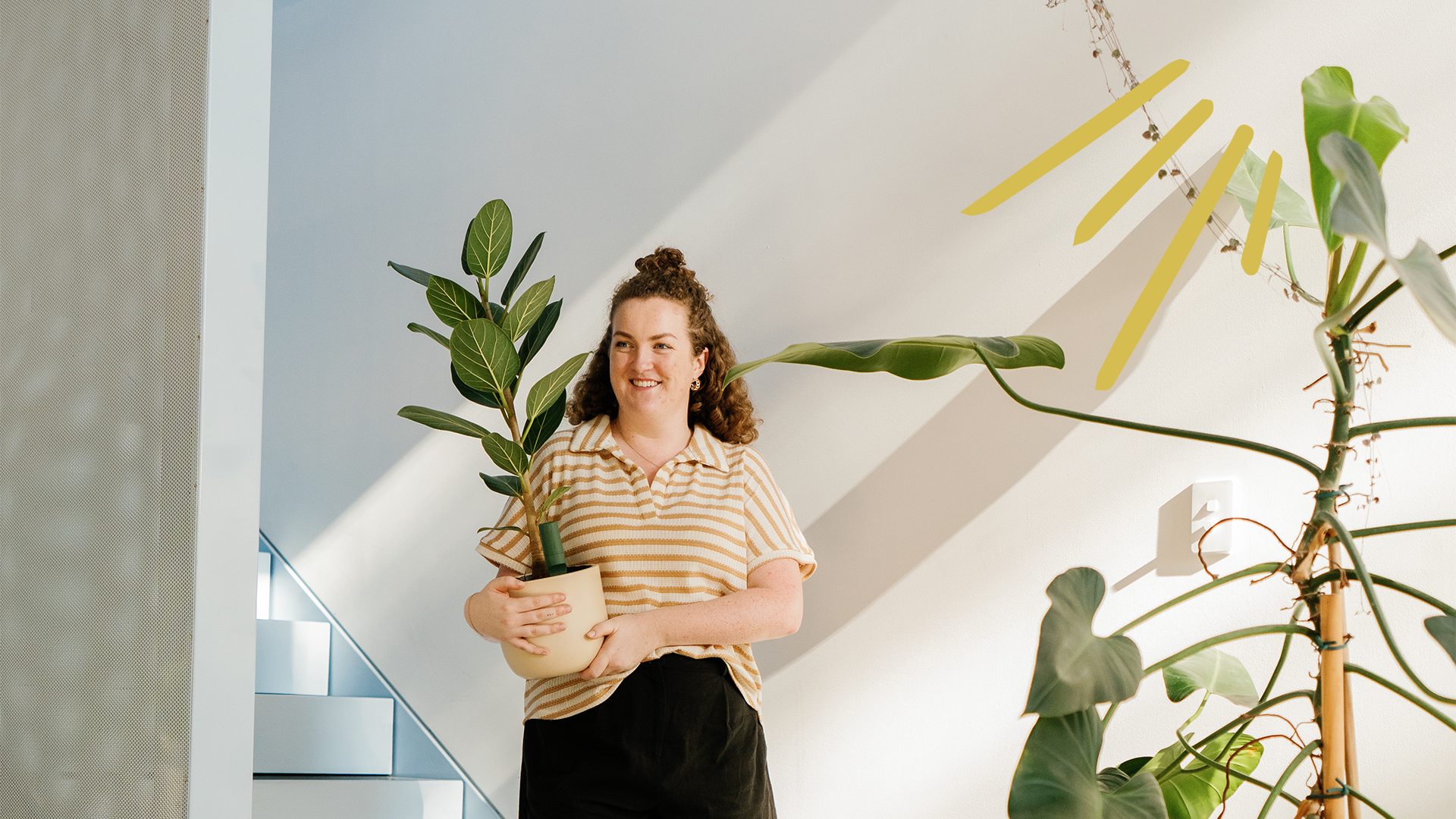 Houseplant, Houseplants, House, Plant, Plants, Girl, Woman, Women, walking, with, sunlight, sun rays, sun