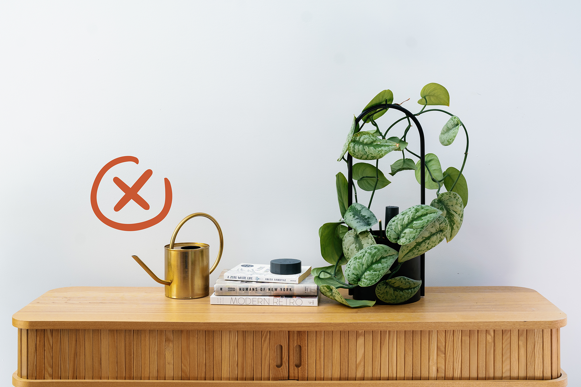 Watering Can, House Plant, Houseplant, House, Plant, Watering, Water, Can, Plant